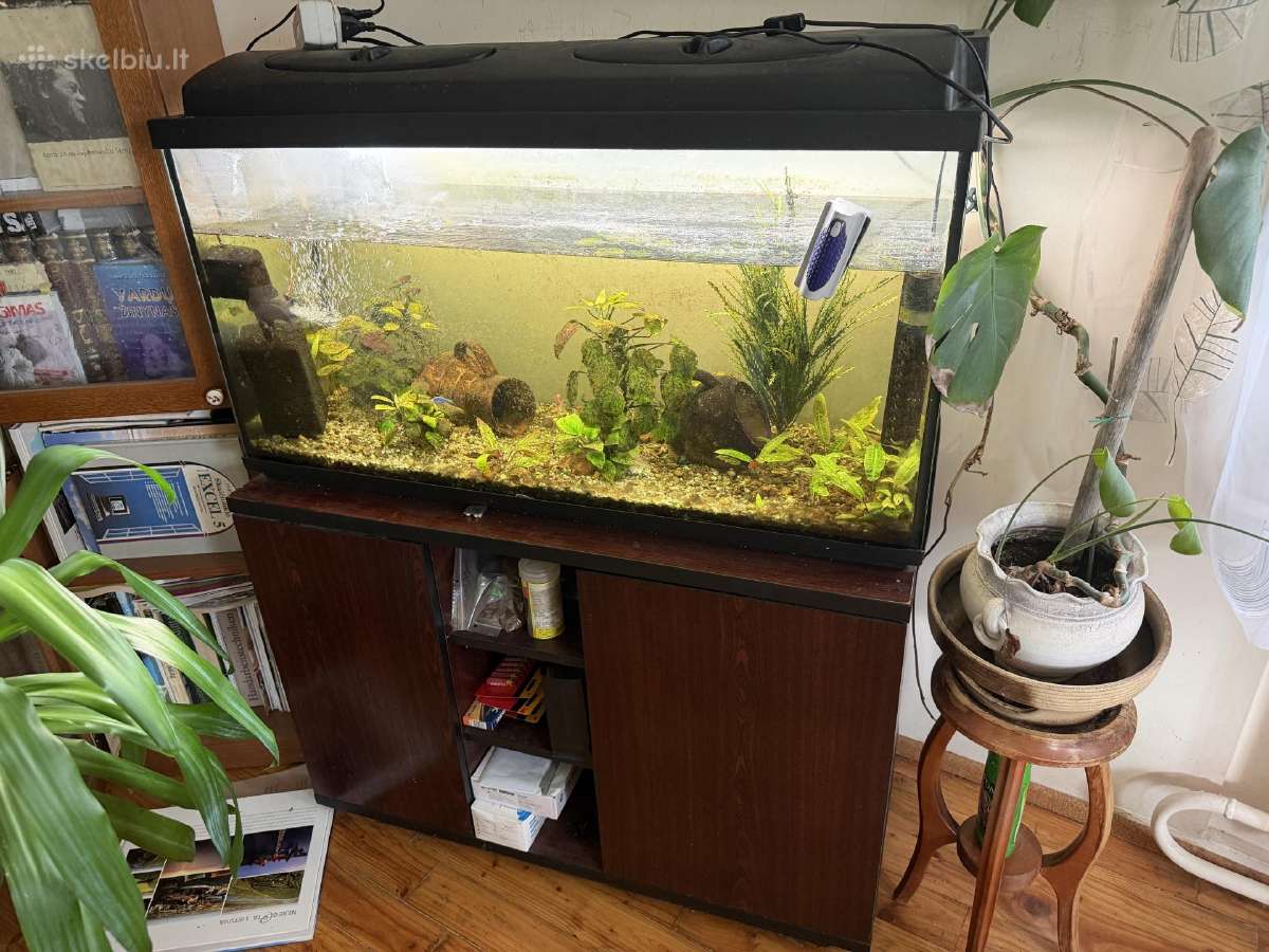 Akvariumas 220l su spintele - nuotraukos Nr. 3
