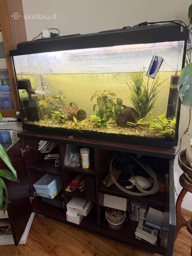 Akvariumas 220l su spintele - nuotraukos Nr. 4