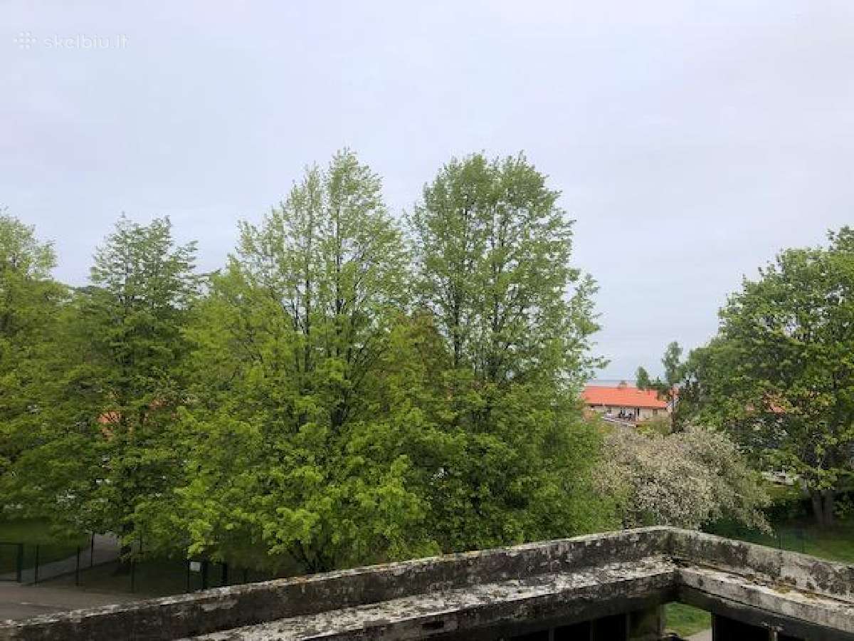 Už Vieną kainą Du Butai Juodkrantės centre - nuotraukos Nr. 3