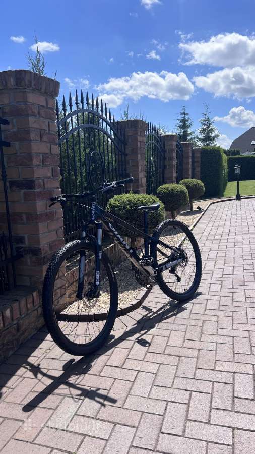 Giant hardtail carbon dviratis