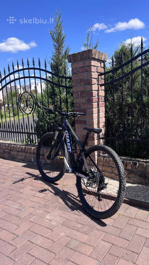 Giant hardtail carbon dviratis - nuotraukos Nr. 2