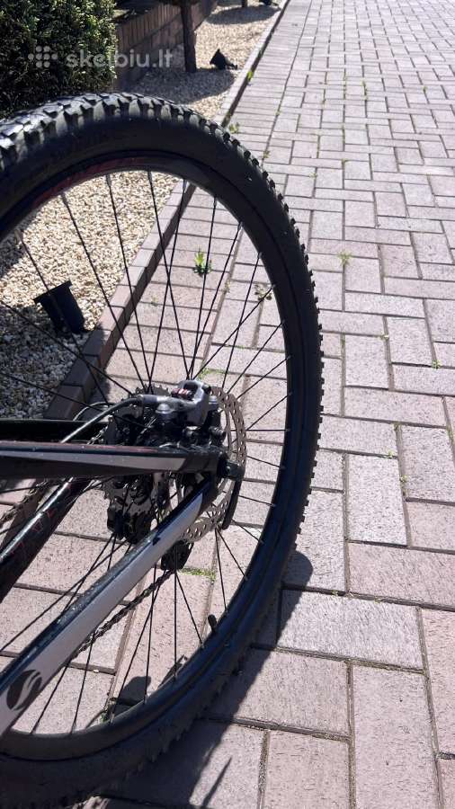 Giant hardtail carbon dviratis - nuotraukos Nr. 4