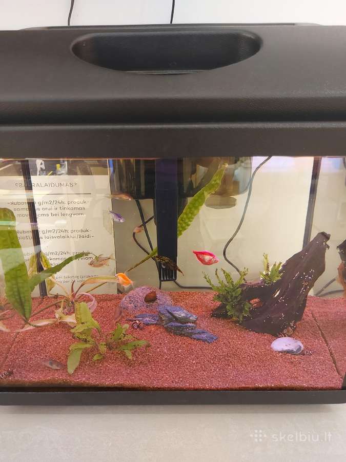 Parduodamas akvariūmas su viskuom 40l