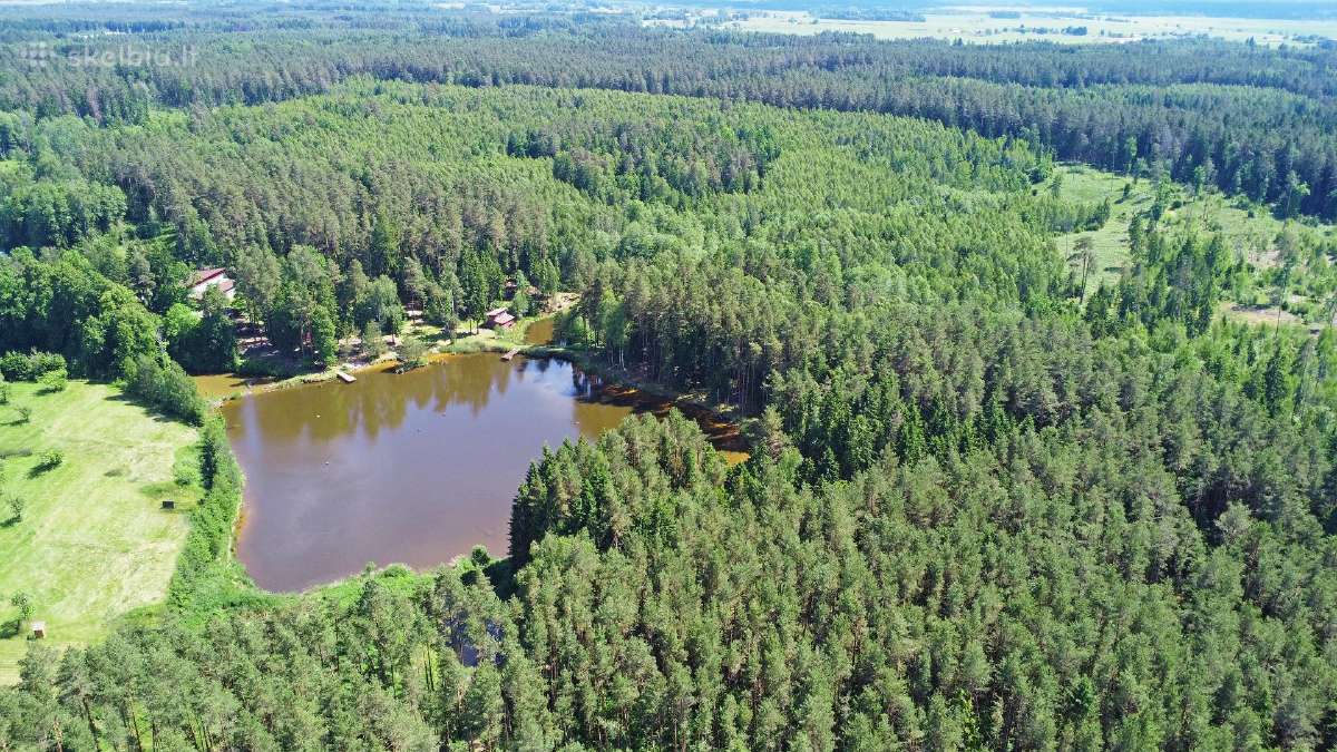 Laisva 08.021-08.23 Sodyba ant ežero kranto! - nuotraukos Nr. 3