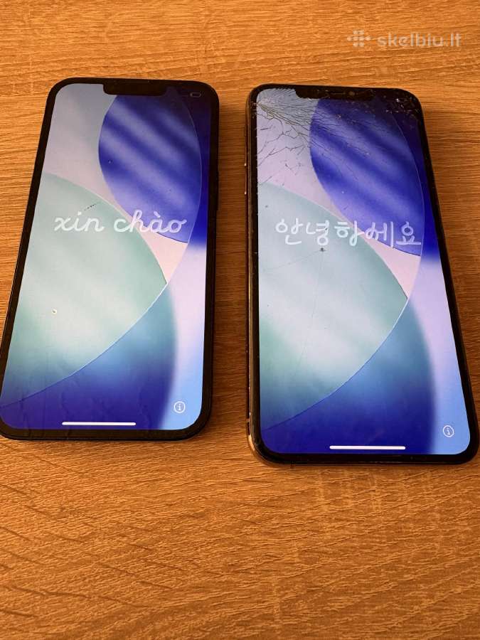 iPhone 11 Pro Max ir iPhone 13