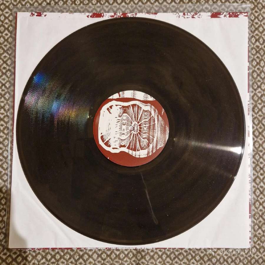 Tongue Depressor – In The Quarter Column / Vinyl L - nuotraukos Nr. 4