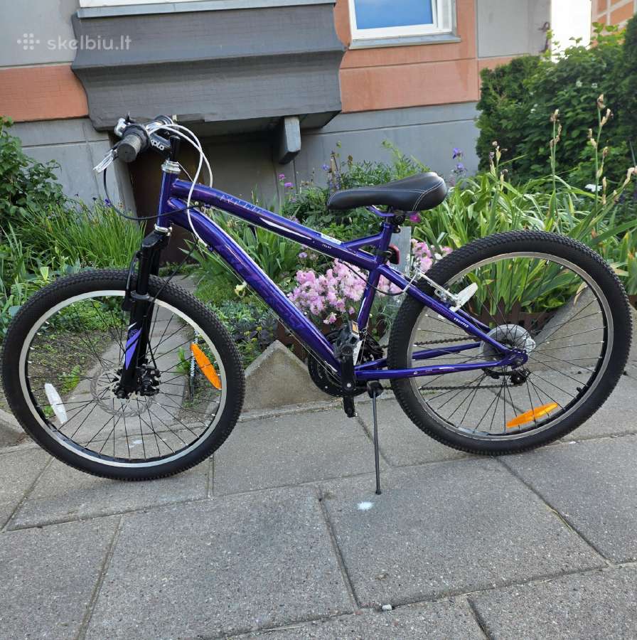 Dviratis vaikams Huffy Extent 24", violetinis
