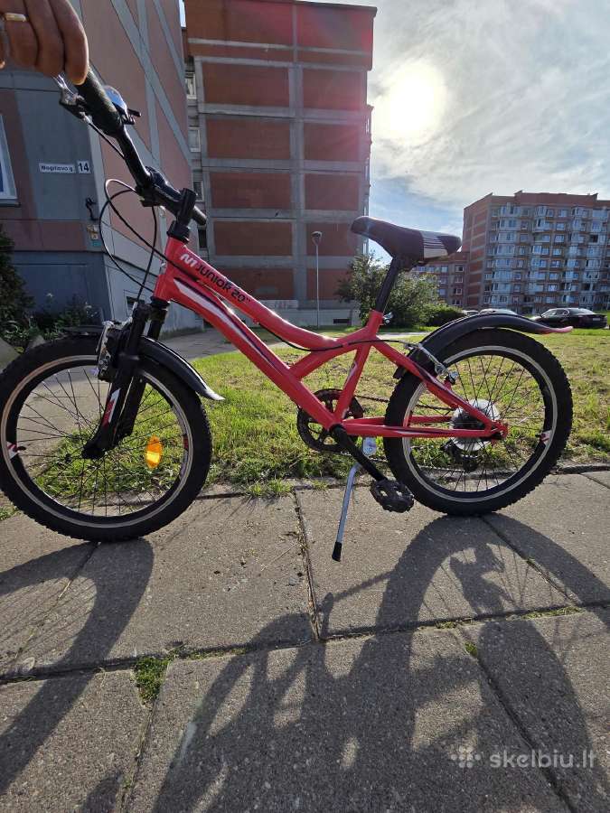 N1 junior 20