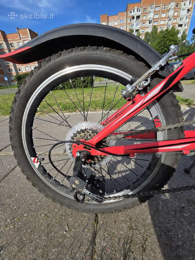 N1 junior 20 - nuotraukos Nr. 4