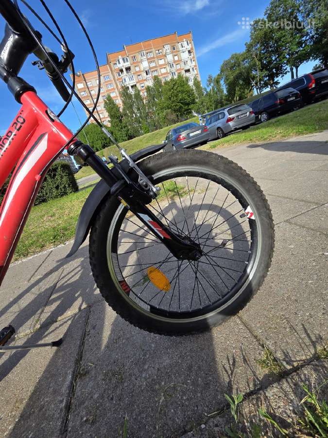 N1 junior 20 - nuotraukos Nr. 5