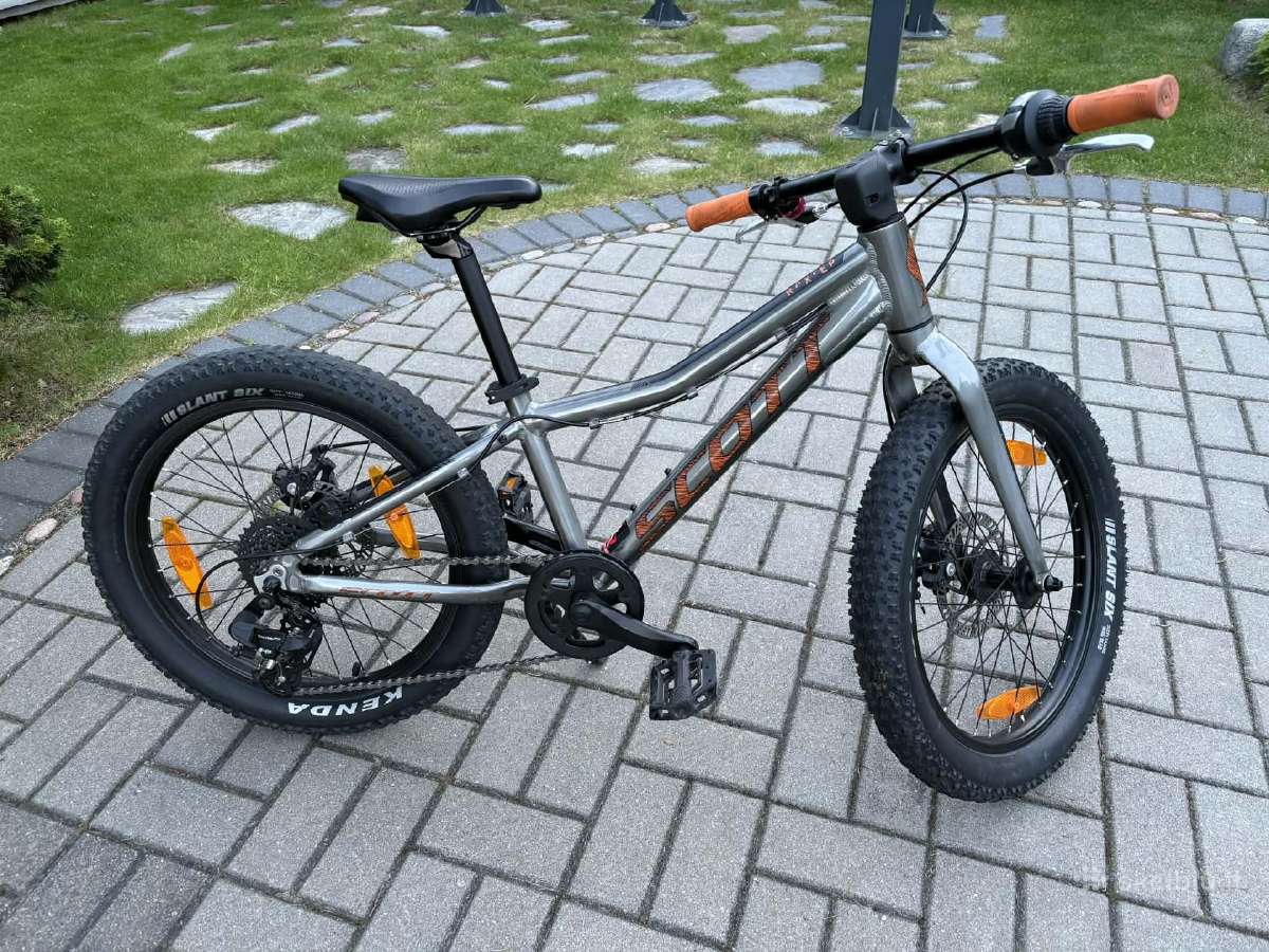 Vaikiškas dviratis Scott Roxter