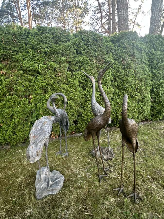 Nuostabios bronzinės gervės - nuotraukos Nr. 2