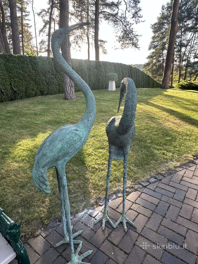 Nuostabios bronzinės gervės - nuotraukos Nr. 10