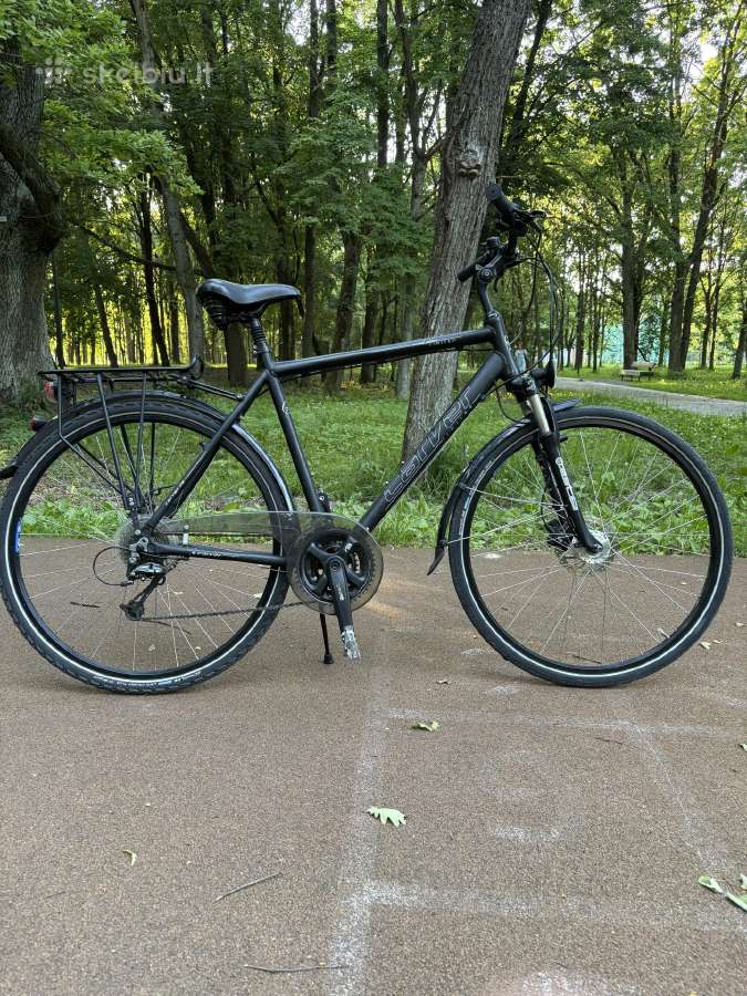 Dviratis Carver