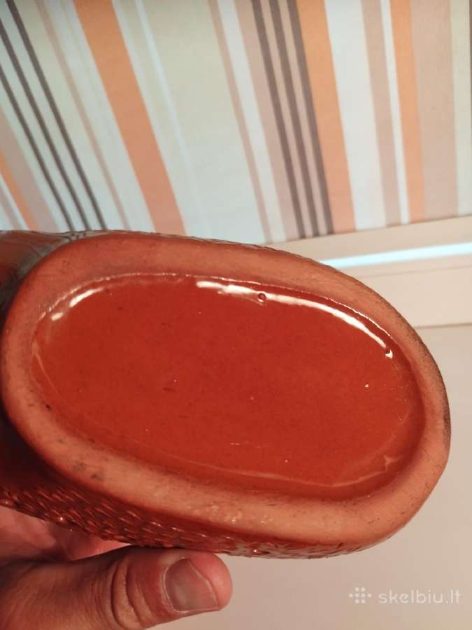 Ežys-taupyklė - nuotraukos Nr. 6