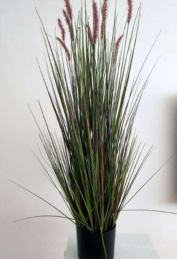 Dirbtinė pampų žolė vazone, 120 cm