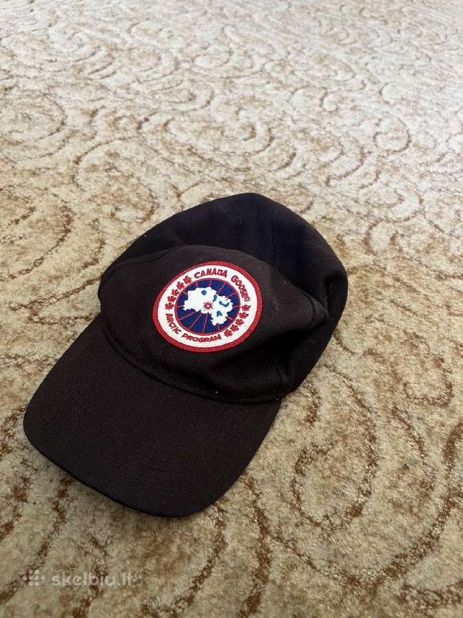 Canada goose