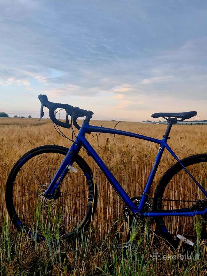 Gravelis 53 dydžio mustang raleigh