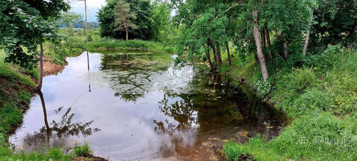 Parduodu sodybą ,vienkiemį. 16 ha su žeme (5 sklp) - nuotraukos Nr. 3