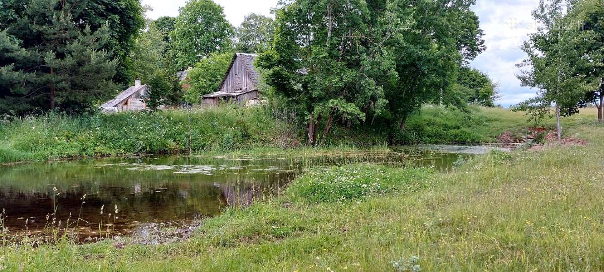 Parduodu sodybą ,vienkiemį. 16 ha su žeme (5 sklp) - nuotraukos Nr. 4