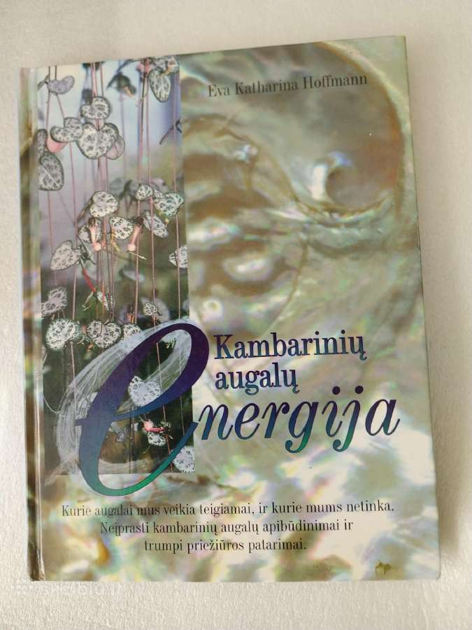 Knyga