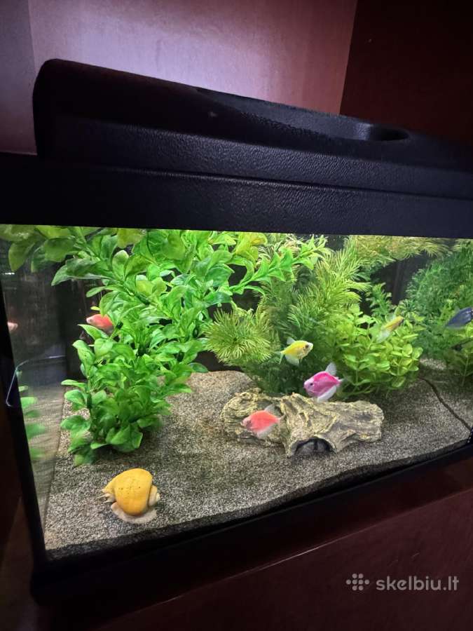 Parduodamas 25 l akvariumo komplektas - nuotraukos Nr. 3