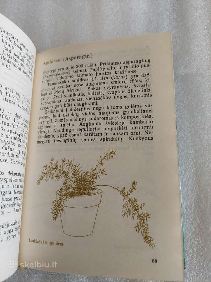 Jaunajam gėlininkui - nuotraukos Nr. 3