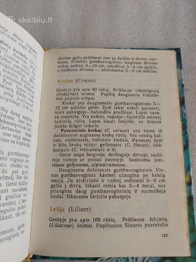 Jaunajam gėlininkui - nuotraukos Nr. 5