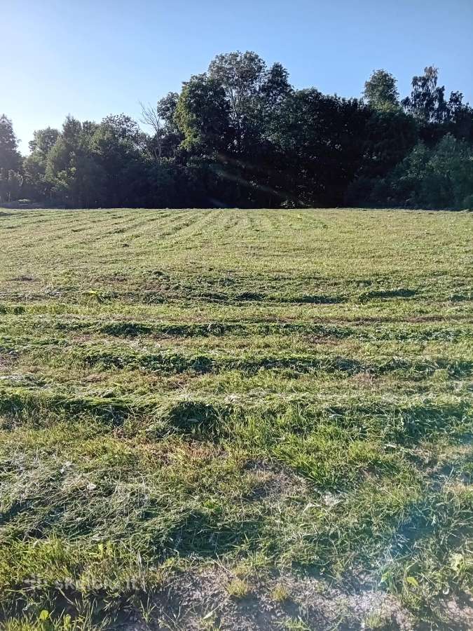 Žolės pjovimas,žolės šienavimas