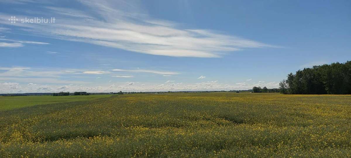 Komercinės paskirties sklypas Kauno r., Pavytės k. - nuotraukos Nr. 6