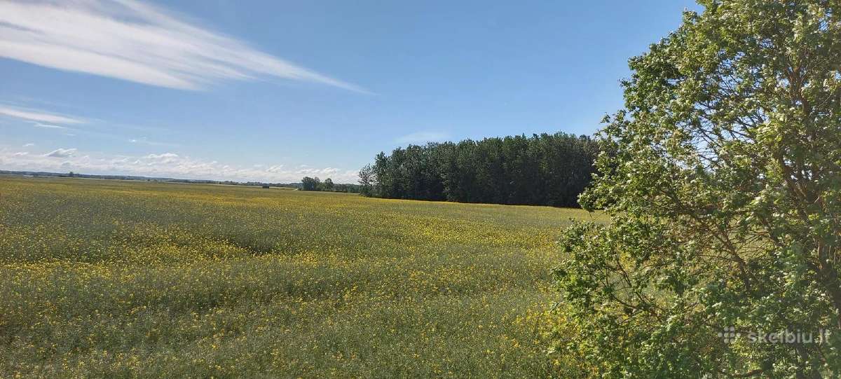 Komercinės paskirties sklypas Kauno r., Pavytės k. - nuotraukos Nr. 7