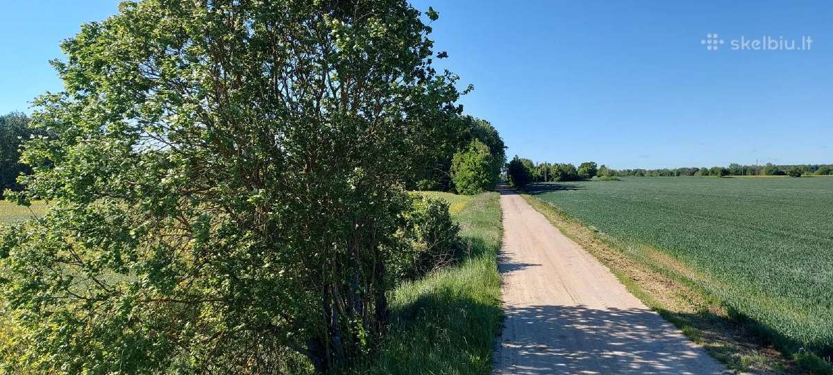 Komercinės paskirties sklypas Kauno r., Pavytės k. - nuotraukos Nr. 8