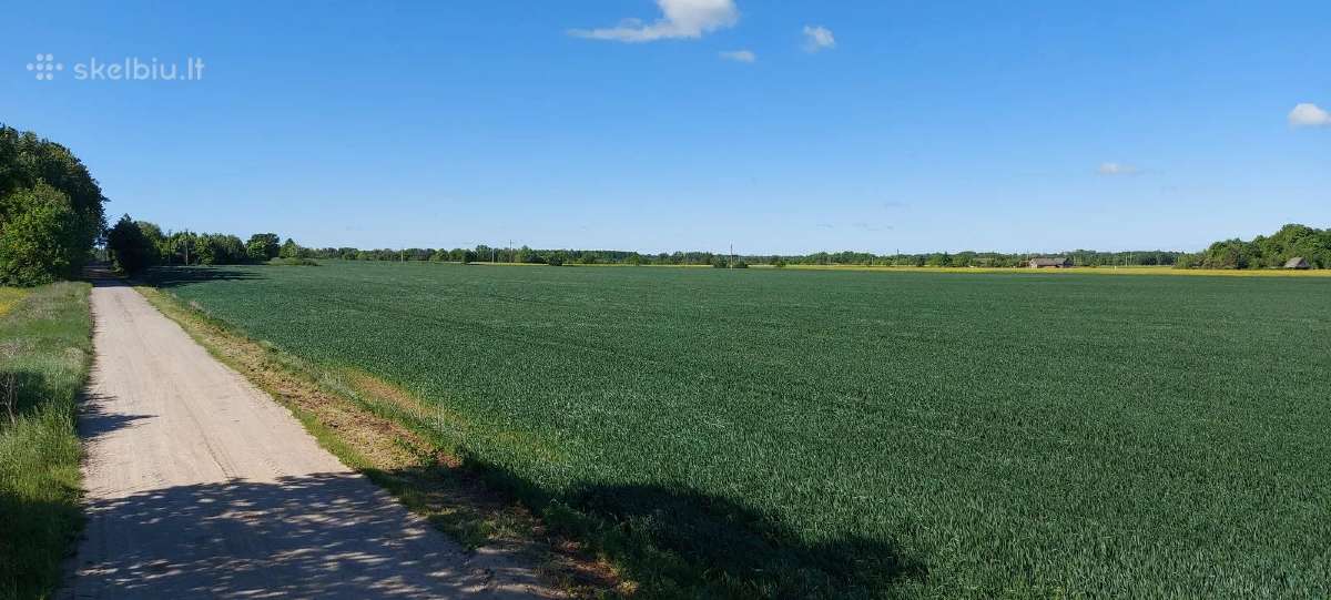 Komercinės paskirties sklypas Kauno r., Pavytės k. - nuotraukos Nr. 9