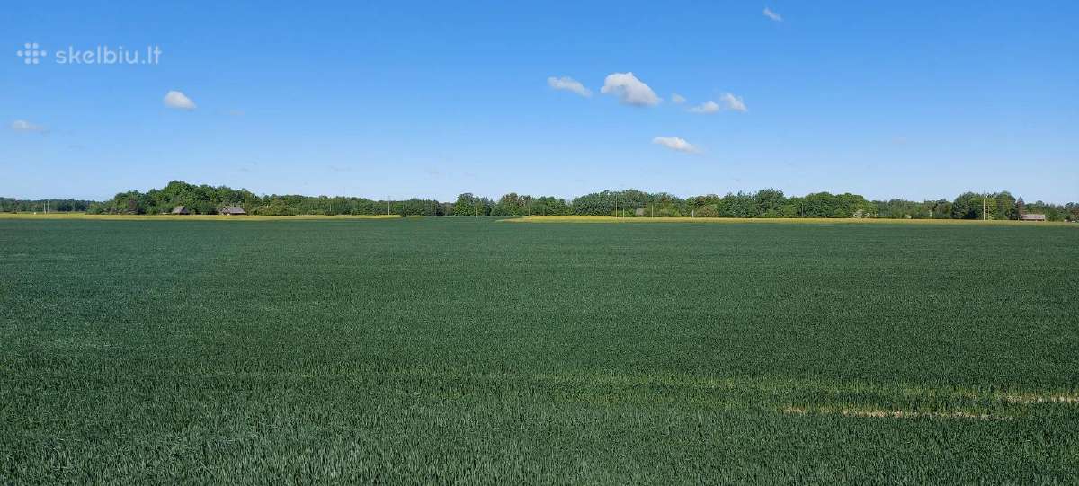 Komercinės paskirties sklypas Kauno r., Pavytės k. - nuotraukos Nr. 10