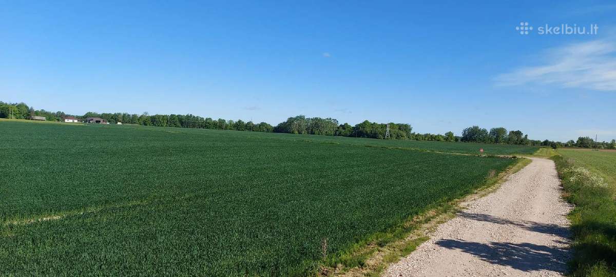 Komercinės paskirties sklypas Kauno r., Pavytės k. - nuotraukos Nr. 11
