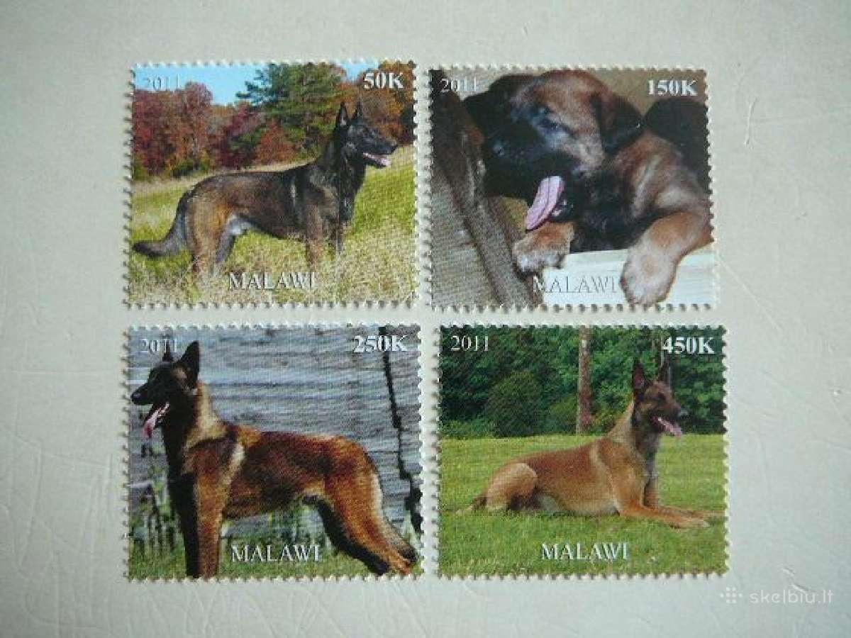 Sunys Malavis 2011 svarus m1569