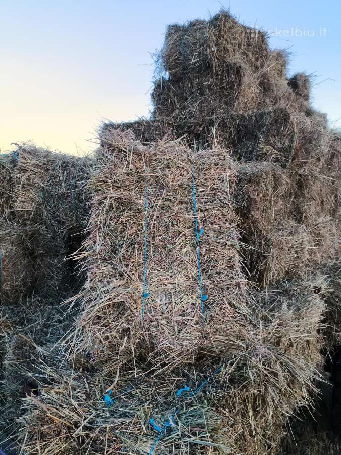 Šienas kitkomis