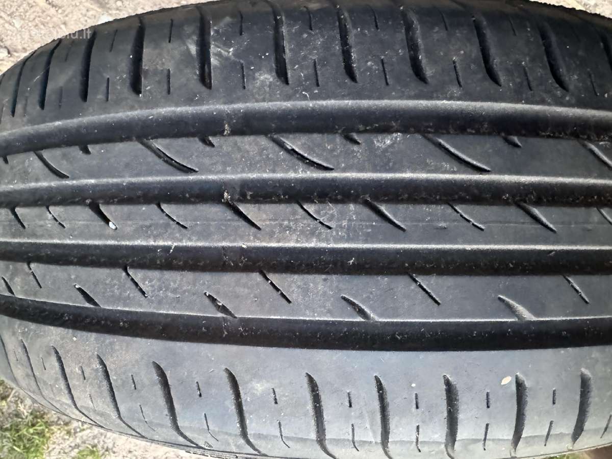Padangos r16