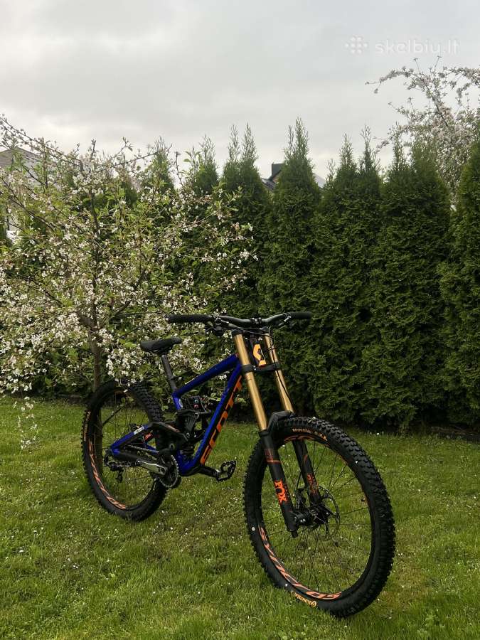 Scott gambler 710