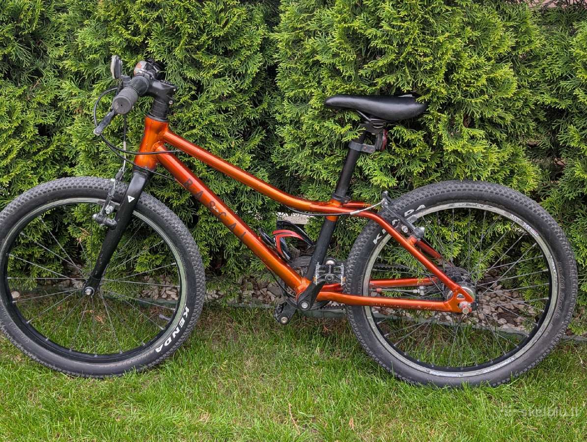 Vaikiškas dviratis Rascal 20 Titanium 7,9kg 110-13