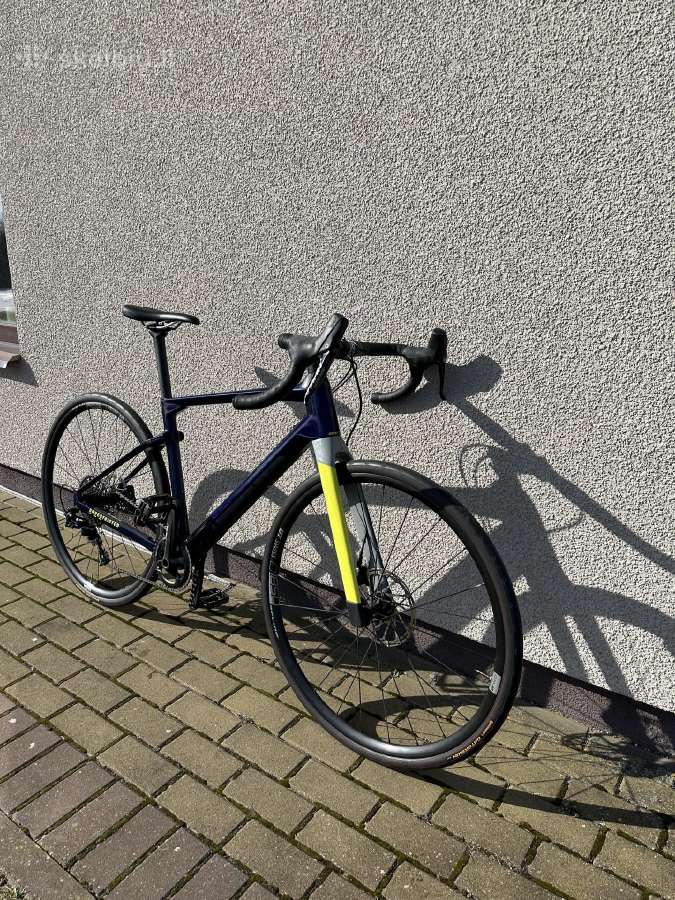 BMC Urs Two 2023 M dydžio dviratis