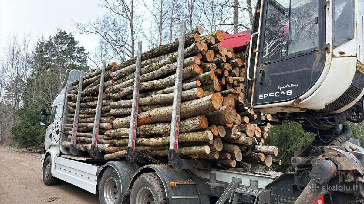 Malkos pigiau! Beržas,uosis,ąžuolas,juodalksnis. - nuotraukos Nr. 24