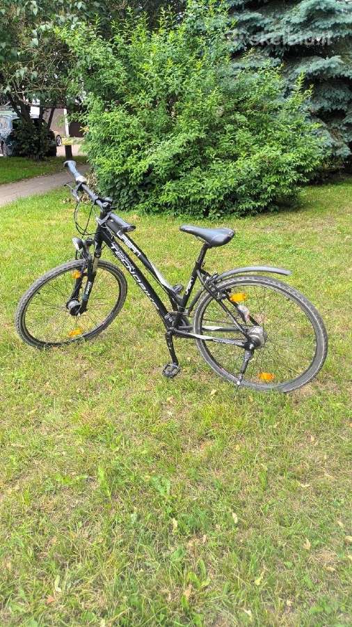 Tecnobike Urban dviratis 28" 46cm (s/m) Shiman - nuotraukos Nr. 2