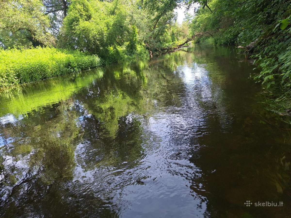 Parduodu sodą su nameliu - nuotraukos Nr. 8