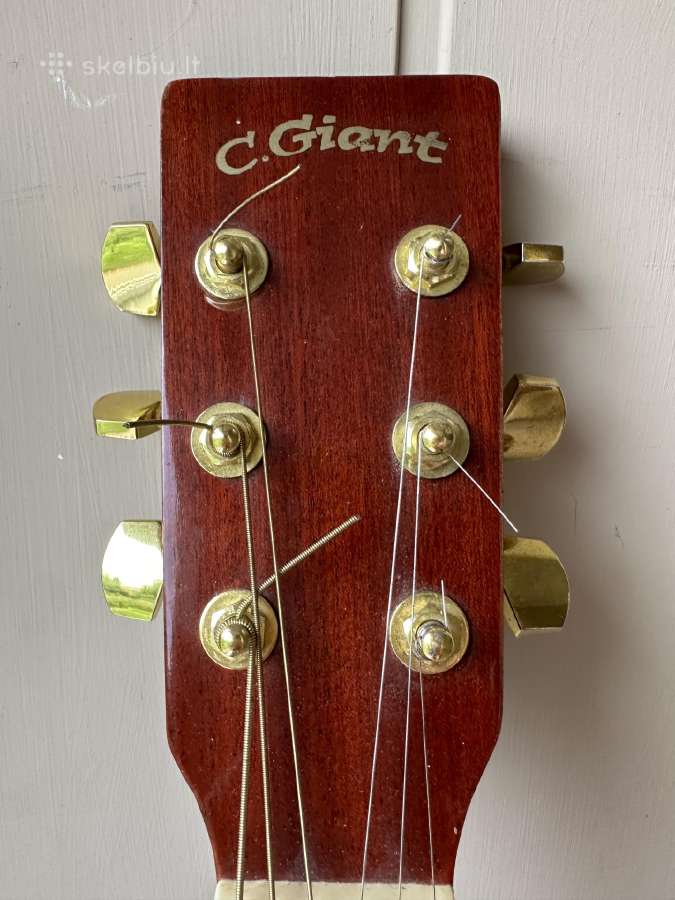 Elektroskustinė gitara - nuotraukos Nr. 2