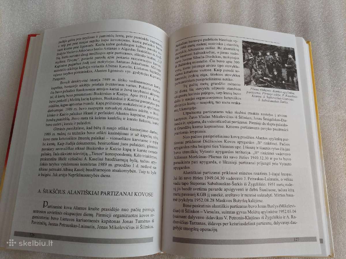Švyti Alanta nuo tėviškės kalvos - nuotraukos Nr. 7