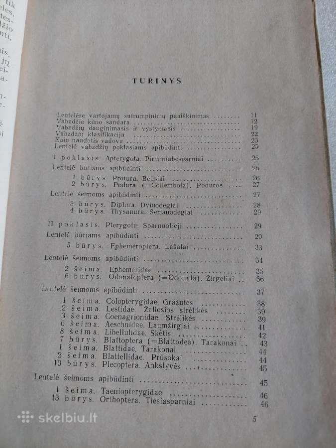 Vadovas Lietuvos vabzdžiams pažinti - nuotraukos Nr. 3