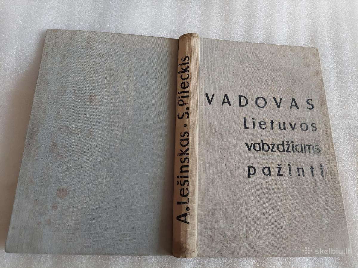 Vadovas Lietuvos vabzdžiams pažinti - nuotraukos Nr. 10