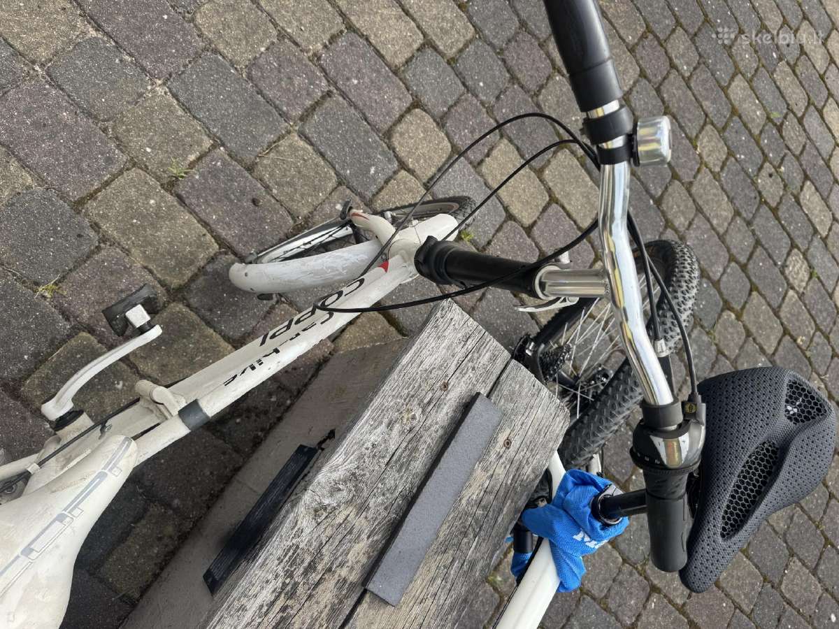 Coppi car-bike dviratis - nuotraukos Nr. 4