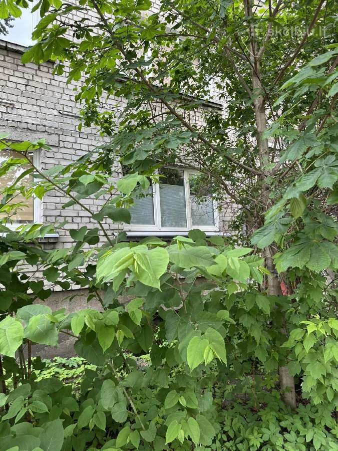 1 k. butas (visi patogumai), Algirdo g., Vilniuje - nuotraukos Nr. 11